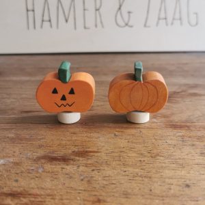 Pumpkin Stalk
